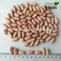 Buy Ground Nut Kernels In Bulk With High Quality